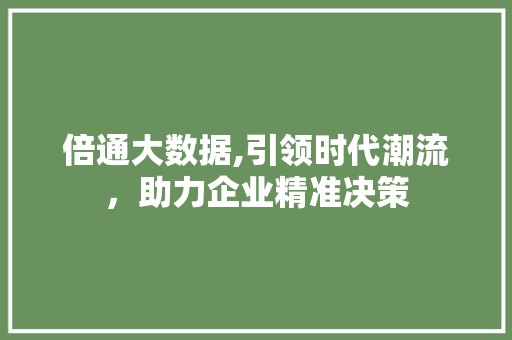 倍通大数据,引领时代潮流，助力企业精准决策
