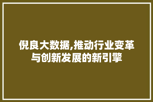 倪良大数据,推动行业变革与创新发展的新引擎