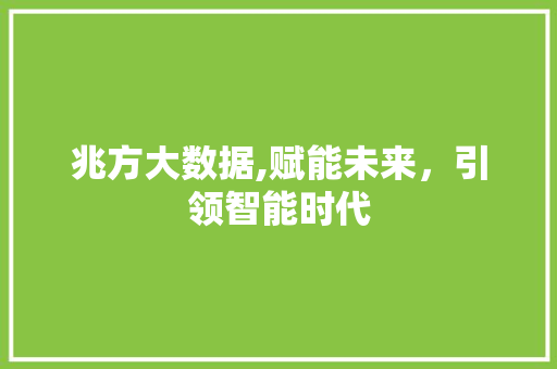 兆方大数据,赋能未来，引领智能时代