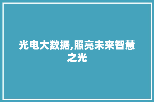 光电大数据,照亮未来智慧之光