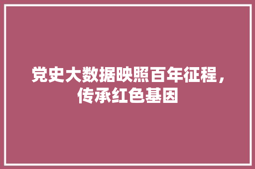 党史大数据映照百年征程，传承红色基因