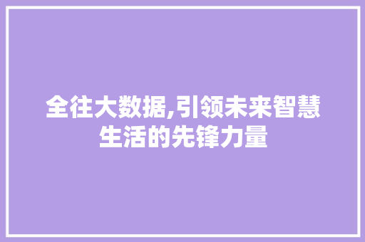 全往大数据,引领未来智慧生活的先锋力量
