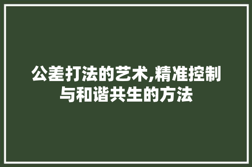 公差打法的艺术,精准控制与和谐共生的方法