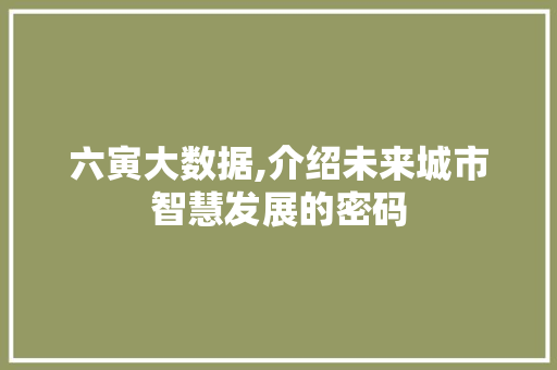 六寅大数据,介绍未来城市智慧发展的密码