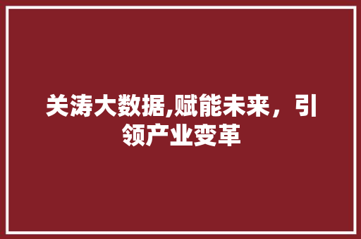 关涛大数据,赋能未来，引领产业变革