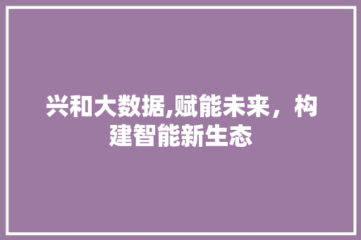 兴和大数据,赋能未来，构建智能新生态