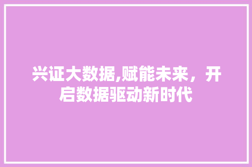 兴证大数据,赋能未来，开启数据驱动新时代