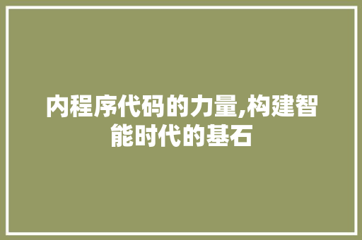 内程序代码的力量,构建智能时代的基石