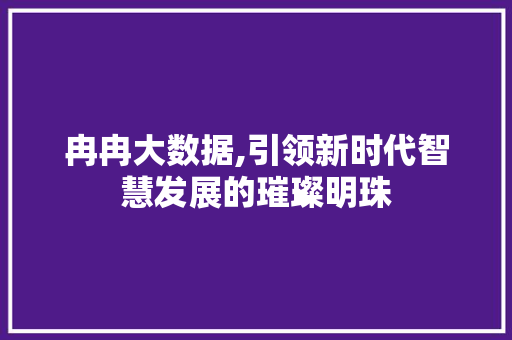 冉冉大数据,引领新时代智慧发展的璀璨明珠