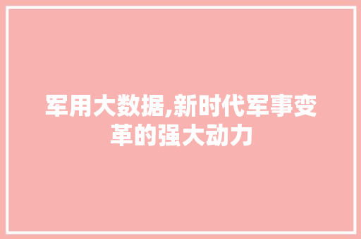 军用大数据,新时代军事变革的强大动力