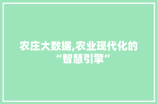 农庄大数据,农业现代化的“智慧引擎”
