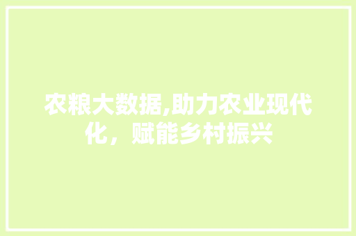 农粮大数据,助力农业现代化，赋能乡村振兴