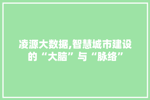 凌源大数据,智慧城市建设的“大脑”与“脉络”