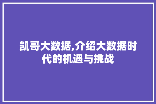 凯哥大数据,介绍大数据时代的机遇与挑战