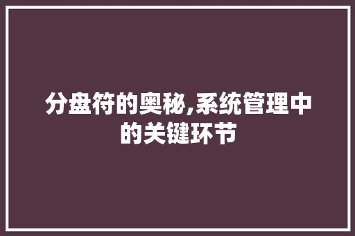 分盘符的奥秘,系统管理中的关键环节