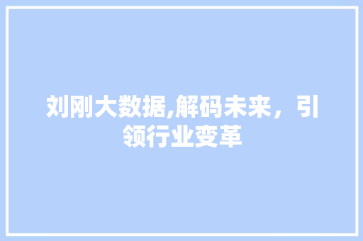 刘刚大数据,解码未来，引领行业变革