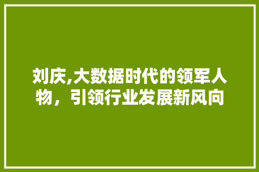 刘庆,大数据时代的领军人物，引领行业发展新风向