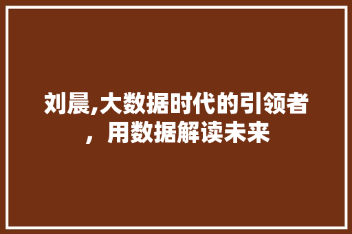 刘晨,大数据时代的引领者，用数据解读未来