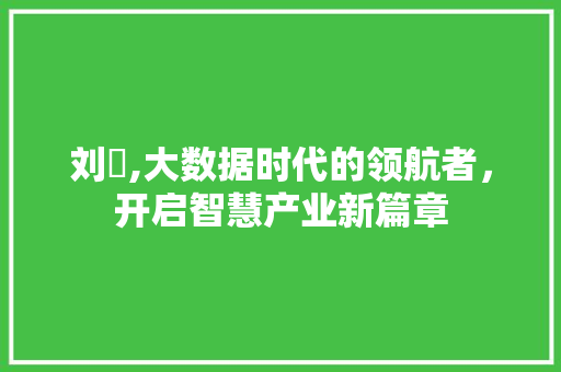 刘璟,大数据时代的领航者，开启智慧产业新篇章