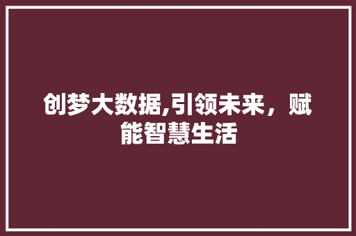创梦大数据,引领未来，赋能智慧生活