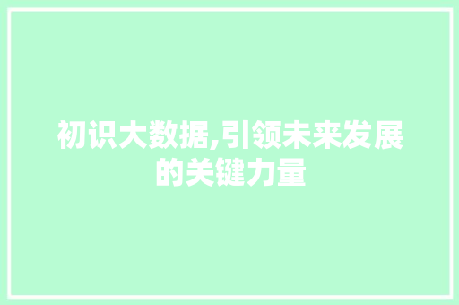 初识大数据,引领未来发展的关键力量