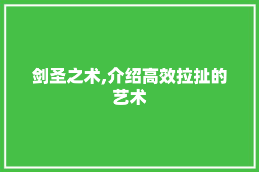 剑圣之术,介绍高效拉扯的艺术
