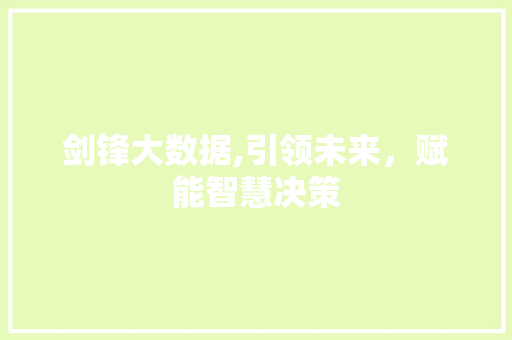 剑锋大数据,引领未来，赋能智慧决策