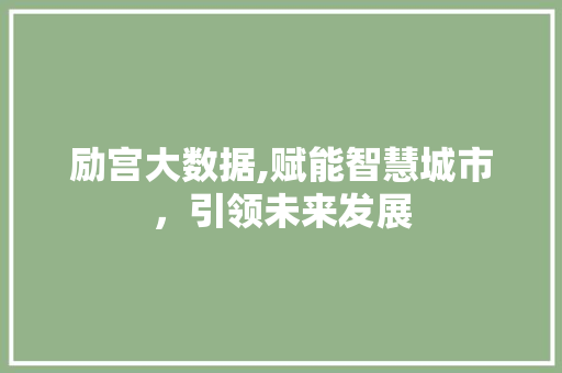 励宫大数据,赋能智慧城市，引领未来发展
