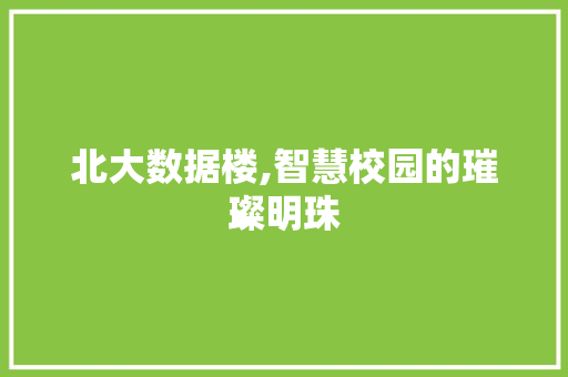 北大数据楼,智慧校园的璀璨明珠