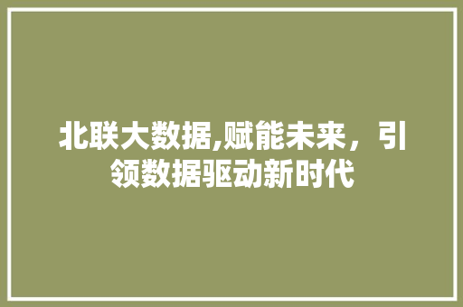 北联大数据,赋能未来，引领数据驱动新时代