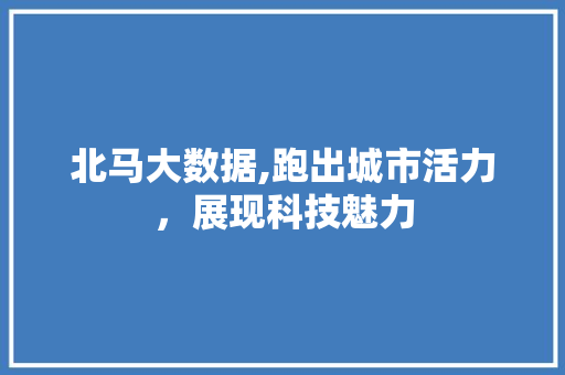 北马大数据,跑出城市活力，展现科技魅力