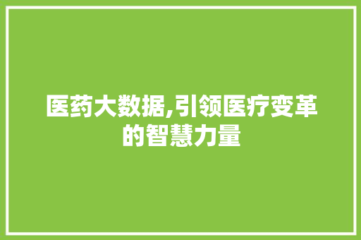 医药大数据,引领医疗变革的智慧力量