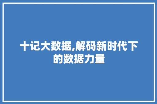十记大数据,解码新时代下的数据力量