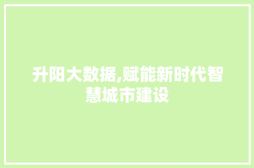 升阳大数据,赋能新时代智慧城市建设