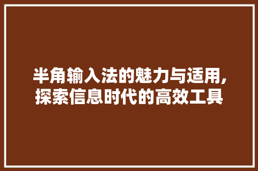 半角输入法的魅力与适用,探索信息时代的高效工具