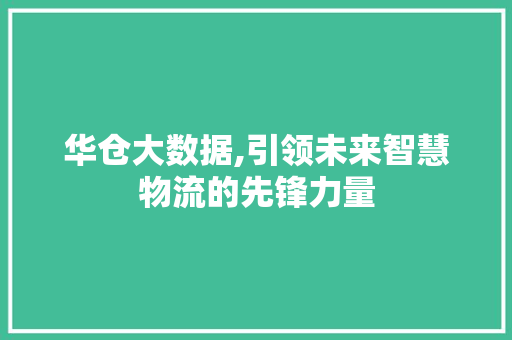 华仓大数据,引领未来智慧物流的先锋力量