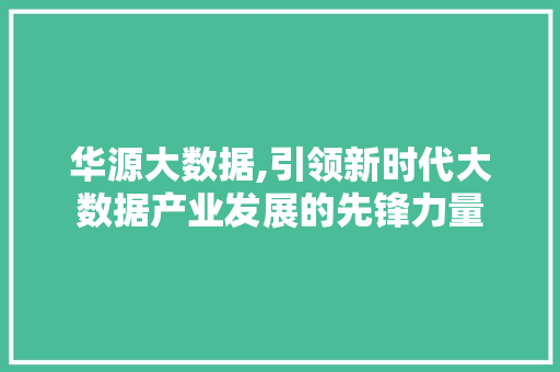 华源大数据,引领新时代大数据产业发展的先锋力量