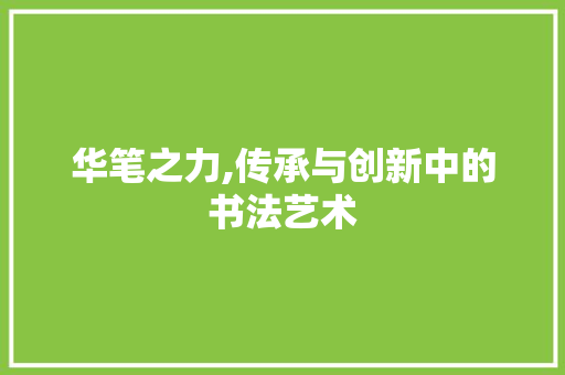 华笔之力,传承与创新中的书法艺术