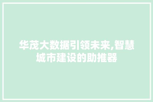 华茂大数据引领未来,智慧城市建设的助推器