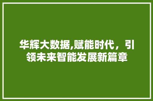 华辉大数据,赋能时代，引领未来智能发展新篇章