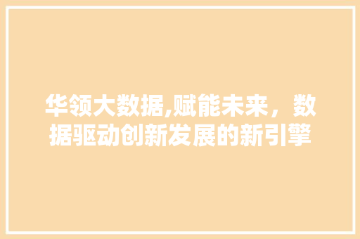 华领大数据,赋能未来，数据驱动创新发展的新引擎