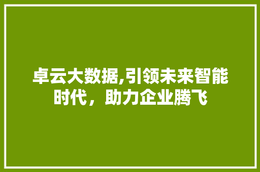 卓云大数据,引领未来智能时代，助力企业腾飞