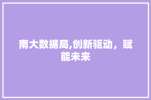 南大数据局,创新驱动，赋能未来