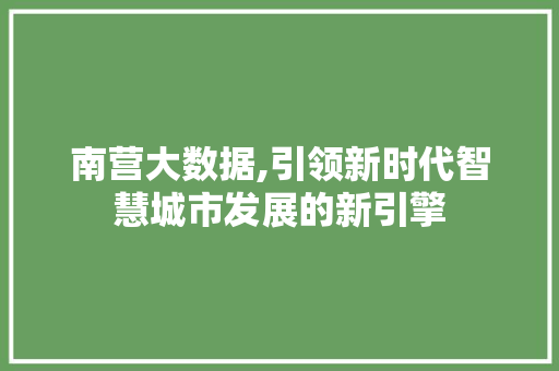 南营大数据,引领新时代智慧城市发展的新引擎