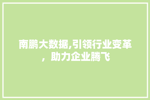 南鹏大数据,引领行业变革，助力企业腾飞