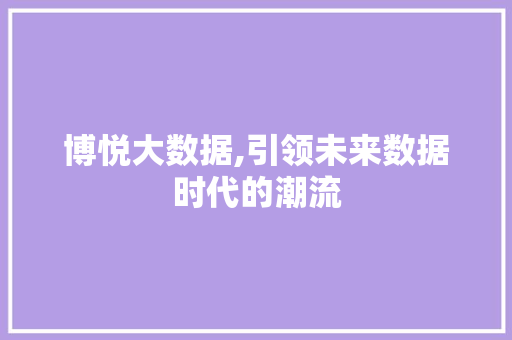 博悦大数据,引领未来数据时代的潮流