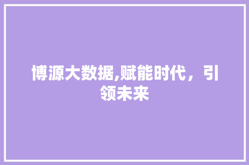 博源大数据,赋能时代，引领未来