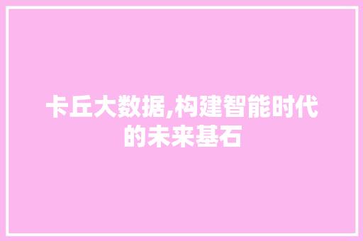 卡丘大数据,构建智能时代的未来基石