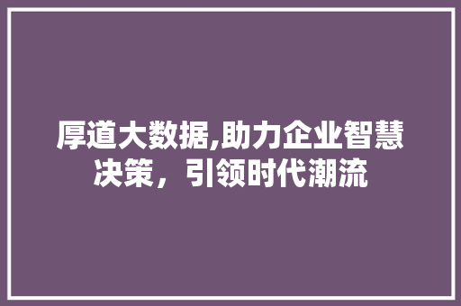 厚道大数据,助力企业智慧决策，引领时代潮流