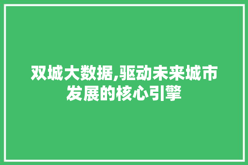 双城大数据,驱动未来城市发展的核心引擎